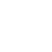input_icon