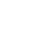 input_icon